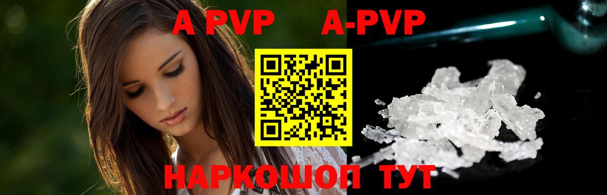 A-PVP СК КРИС Орехово-Зуево