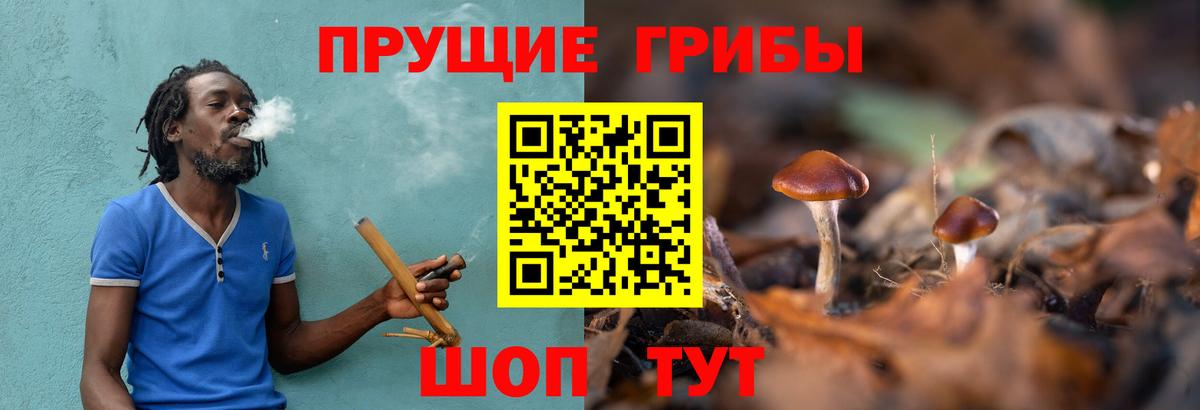 купить наркоту  Псилоцибиновые грибы Magic Shrooms  Галлюциногенные грибы GOLDEN TEACHER  Вход с VPN  Орехово-Зуево 